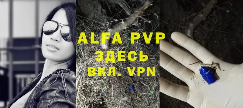 Alpha PVP СК  Пятигорск 