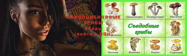 PSILOCYBIN Магадан