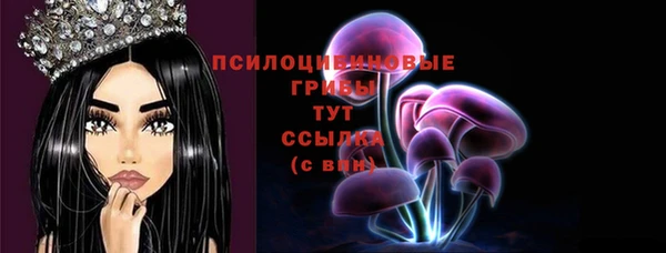 ПСИЛОЦИБИНОВЫЕ ГРИБЫ Майский