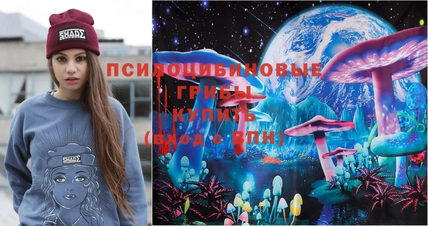 PSILOCYBIN Магадан