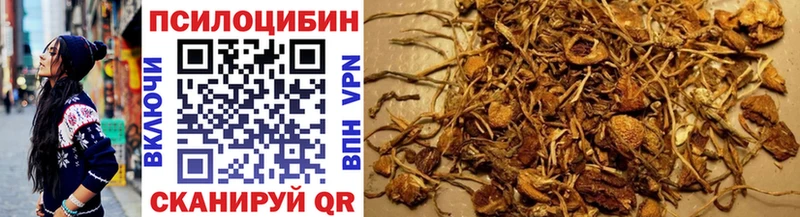 Галлюциногенные грибы Magic Shrooms  darknet формула  Пятигорск 