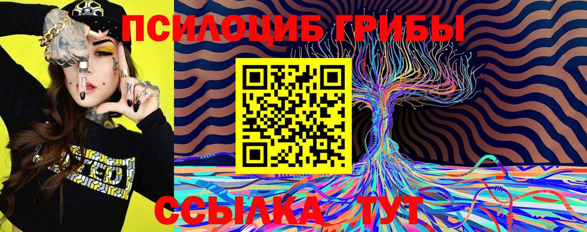 Псилоцибиновые грибы ЛСД Пятигорск