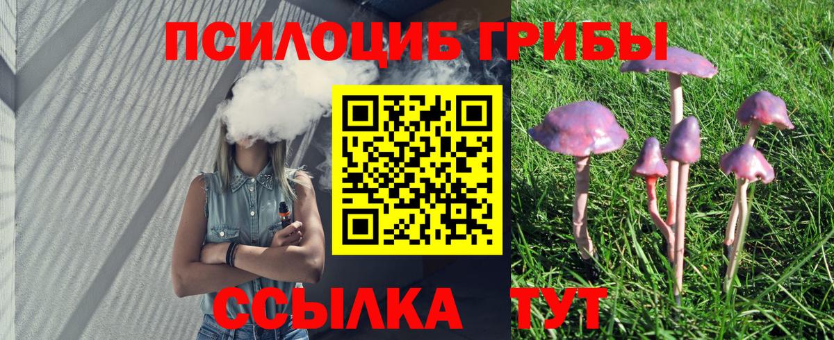Псилоцибиновые грибы Psilocybine cubensis  Галлюциногенные грибы MAGIC MUSHROOMS  Пятигорск  Вход с VPN 