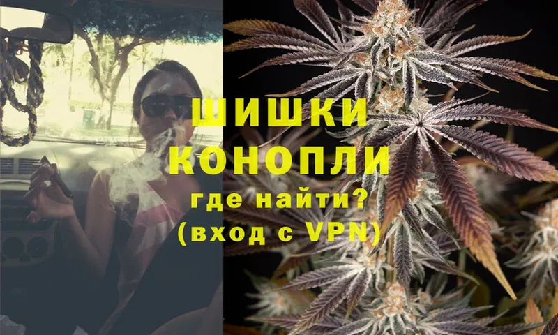 Бошки Шишки Ganja  наркошоп  Пятигорск 